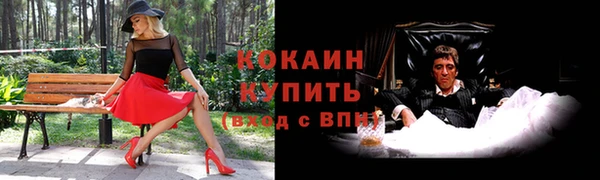 PSILOCYBIN Козловка