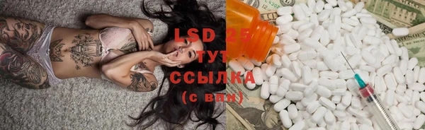 PSILOCYBIN Козловка