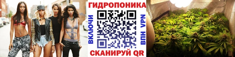 Купить закладки  Билибино  Марихуана AK-47 